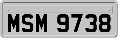 MSM9738