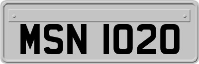 MSN1020