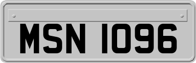 MSN1096