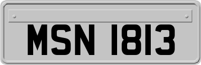 MSN1813