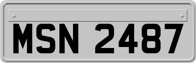 MSN2487
