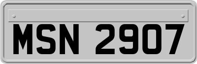 MSN2907