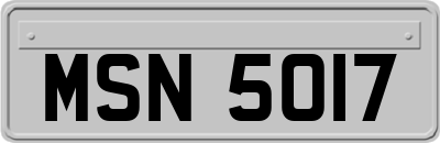 MSN5017