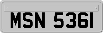 MSN5361