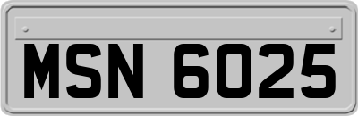 MSN6025