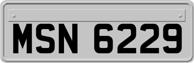 MSN6229