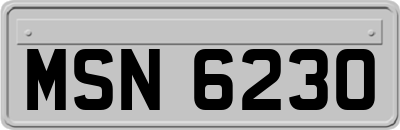 MSN6230
