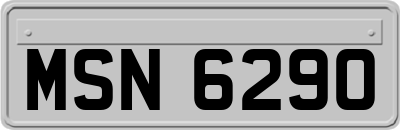 MSN6290