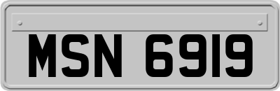 MSN6919