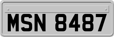 MSN8487
