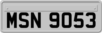 MSN9053