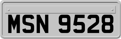 MSN9528