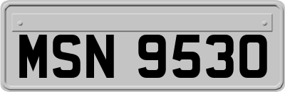 MSN9530