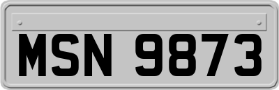 MSN9873