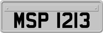 MSP1213