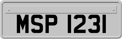 MSP1231