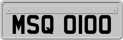 MSQ0100