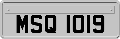 MSQ1019