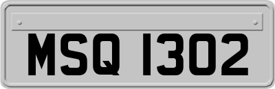 MSQ1302