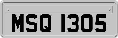 MSQ1305