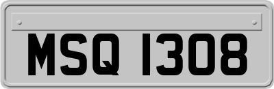 MSQ1308