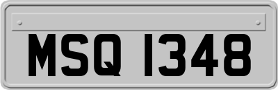 MSQ1348