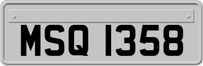MSQ1358