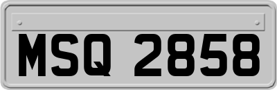 MSQ2858
