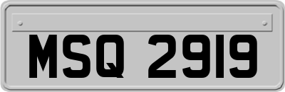 MSQ2919