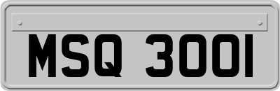 MSQ3001