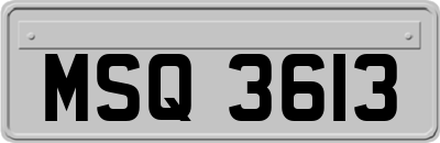 MSQ3613
