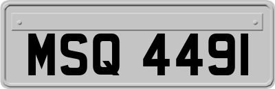 MSQ4491