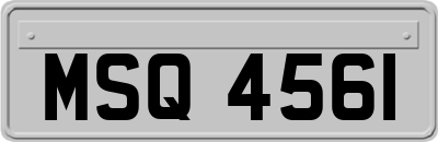 MSQ4561