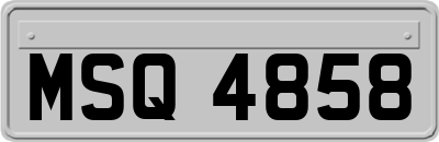 MSQ4858