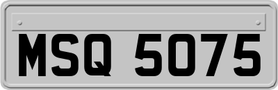 MSQ5075