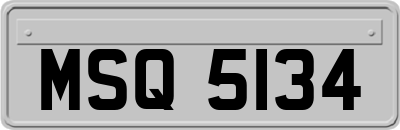 MSQ5134