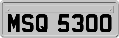 MSQ5300