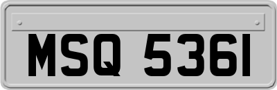 MSQ5361