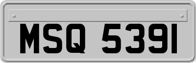 MSQ5391