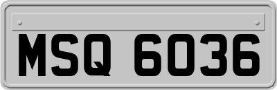 MSQ6036
