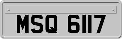 MSQ6117