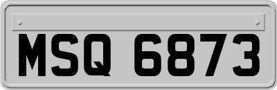 MSQ6873