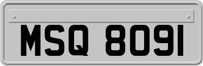 MSQ8091