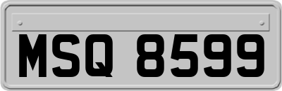 MSQ8599