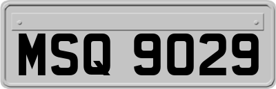 MSQ9029