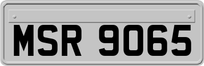 MSR9065