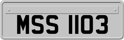 MSS1103