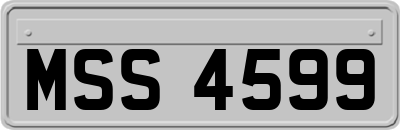 MSS4599