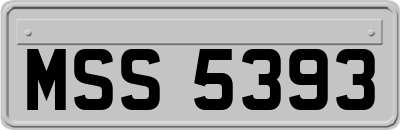 MSS5393