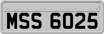 MSS6025